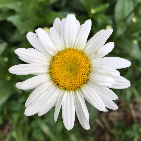 Meet your Posher, Margit - Picture 4 of 8